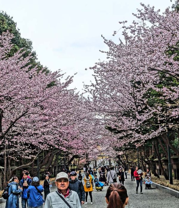 Cherry-Blossom-Hokkaido-Shrine-Japan---Travel-Envy