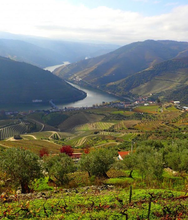 Douro-Valley-Portugal---Travel-Envy